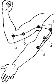 Иллюстрация к книге — Китайский императорский массаж. Лечение 100 болезней с помощью банок. Большой атлас зон исцеления [_53.jpg]