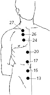 Иллюстрация к книге — Китайский императорский массаж. Лечение 100 болезней с помощью банок. Большой атлас зон исцеления [_57.jpg]