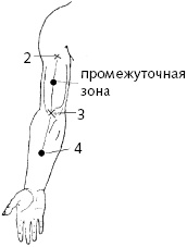 Иллюстрация к книге — Китайский императорский массаж. Лечение 100 болезней с помощью банок. Большой атлас зон исцеления [_58.jpg]