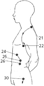 Иллюстрация к книге — Китайский императорский массаж. Лечение 100 болезней с помощью банок. Большой атлас зон исцеления [_60.jpg]