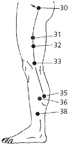 Иллюстрация к книге — Китайский императорский массаж. Лечение 100 болезней с помощью банок. Большой атлас зон исцеления [_61.jpg]
