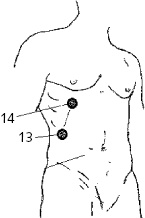 Иллюстрация к книге — Китайский императорский массаж. Лечение 100 болезней с помощью банок. Большой атлас зон исцеления [_63.jpg]