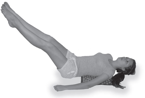 Иллюстрация к книге — Ипликатор Кузнецова. Избавление от боли в спине и шее [i_004.jpg]