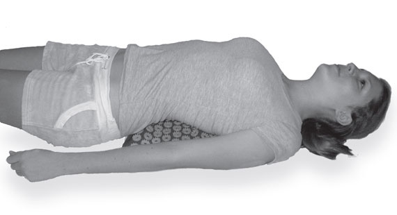 Иллюстрация к книге — Ипликатор Кузнецова. Избавление от боли в спине и шее [i_006.jpg]