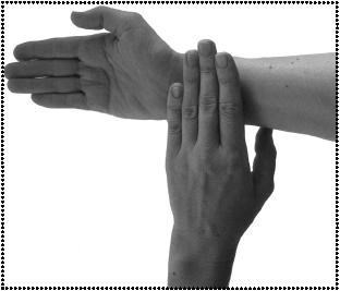 Иллюстрация к книге — Простукивание активных точек - метод пробуждения целительной энергии. С подробным атласом [_12.jpg]