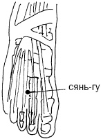 Иллюстрация к книге — Простукивание активных точек - метод пробуждения целительной энергии. С подробным атласом [_26.jpg]