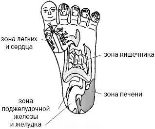 Иллюстрация к книге — Простукивание активных точек - метод пробуждения целительной энергии. С подробным атласом [_56.jpg]