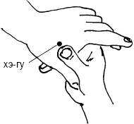 Иллюстрация к книге — Простукивание активных точек - метод пробуждения целительной энергии. С подробным атласом [_59.jpg]