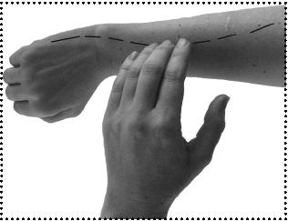 Иллюстрация к книге — Простукивание активных точек - метод пробуждения целительной энергии. С подробным атласом [_65.jpg]