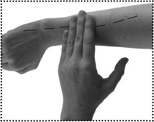 Иллюстрация к книге — Простукивание активных точек - метод пробуждения целительной энергии. С подробным атласом [_66.jpg]