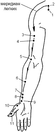 Иллюстрация к книге — Простукивание активных точек - метод пробуждения целительной энергии. С подробным атласом [_67.jpg]