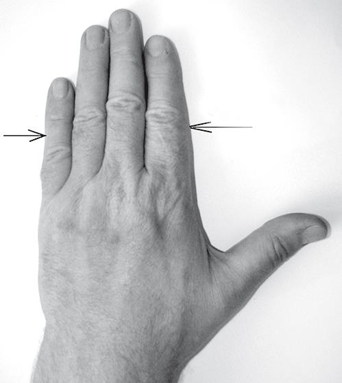 Иллюстрация к книге — Атлас целительных точек. Печень, почки, желудок [Autogen_eBook_id10.jpg]