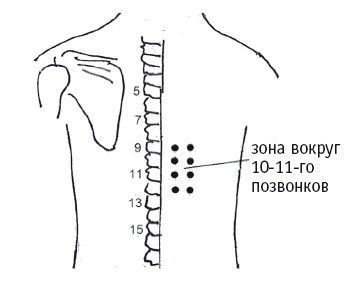 Иллюстрация к книге — Атлас целительных точек. Печень, почки, желудок [Autogen_eBook_id102.jpg]
