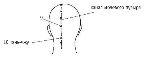 Иллюстрация к книге — Атлас целительных точек. Печень, почки, желудок [Autogen_eBook_id112.jpg]