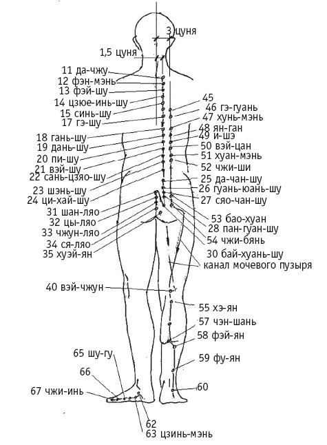 Иллюстрация к книге — Атлас целительных точек. Печень, почки, желудок [Autogen_eBook_id113.jpg]