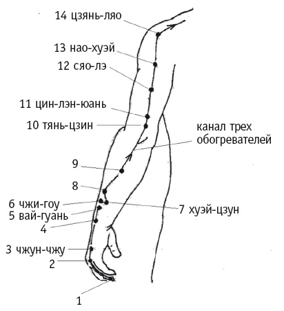 Иллюстрация к книге — Атлас целительных точек. Печень, почки, желудок [Autogen_eBook_id116.jpg]