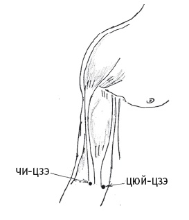 Иллюстрация к книге — Атлас целительных точек. Печень, почки, желудок [Autogen_eBook_id119.jpg]