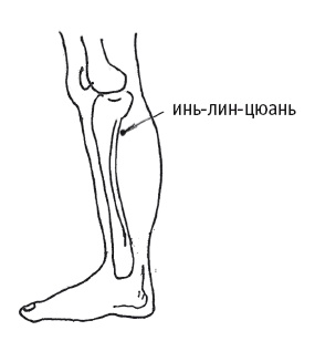 Иллюстрация к книге — Атлас целительных точек. Печень, почки, желудок [Autogen_eBook_id123.jpg]