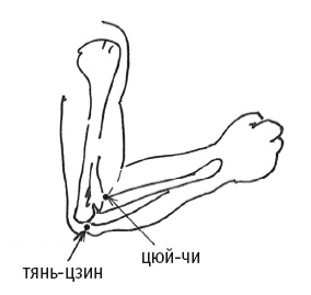 Иллюстрация к книге — Атлас целительных точек. Печень, почки, желудок [Autogen_eBook_id124.jpg]