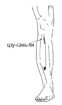 Иллюстрация к книге — Атлас целительных точек. Печень, почки, желудок [Autogen_eBook_id126.jpg]