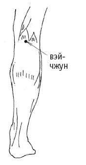 Иллюстрация к книге — Атлас целительных точек. Печень, почки, желудок [Autogen_eBook_id128.jpg]