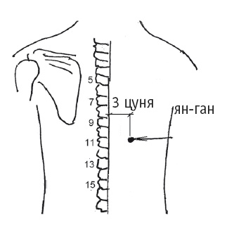 Иллюстрация к книге — Атлас целительных точек. Печень, почки, желудок [Autogen_eBook_id14.jpg]