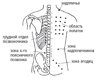 Иллюстрация к книге — Атлас целительных точек. Печень, почки, желудок [Autogen_eBook_id20.jpg]