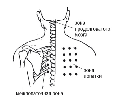 Иллюстрация к книге — Атлас целительных точек. Печень, почки, желудок [Autogen_eBook_id39.jpg]