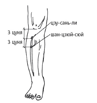 Иллюстрация к книге — Атлас целительных точек. Печень, почки, желудок [Autogen_eBook_id47.jpg]