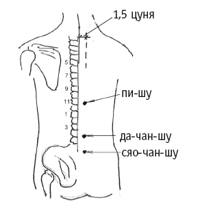Иллюстрация к книге — Атлас целительных точек. Печень, почки, желудок [Autogen_eBook_id49.jpg]