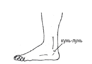 Иллюстрация к книге — Атлас целительных точек. Печень, почки, желудок [Autogen_eBook_id50.jpg]