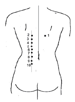 Иллюстрация к книге — Атлас целительных точек. Печень, почки, желудок [Autogen_eBook_id56.jpg]