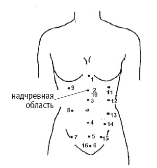 Иллюстрация к книге — Атлас целительных точек. Печень, почки, желудок [Autogen_eBook_id57.jpg]