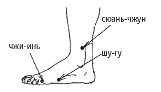 Иллюстрация к книге — Атлас целительных точек. Печень, почки, желудок [Autogen_eBook_id72.jpg]