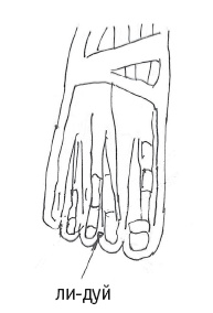 Иллюстрация к книге — Атлас целительных точек. Печень, почки, желудок [Autogen_eBook_id77.jpg]