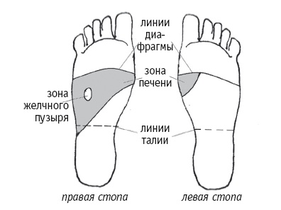 Иллюстрация к книге — Атлас целительных точек. Печень, почки, желудок [Autogen_eBook_id82.jpg]