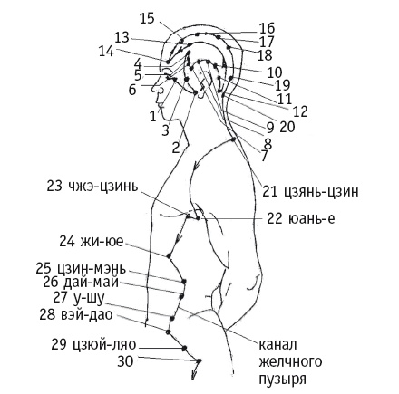 Иллюстрация к книге — Атлас целительных точек. Печень, почки, желудок [Autogen_eBook_id84.jpg]