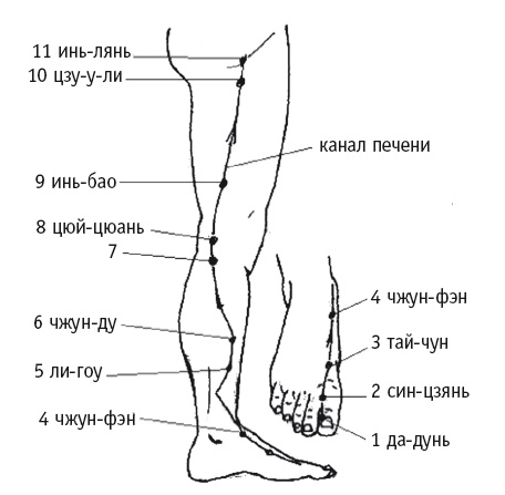 Иллюстрация к книге — Атлас целительных точек. Печень, почки, желудок [Autogen_eBook_id86.jpg]
