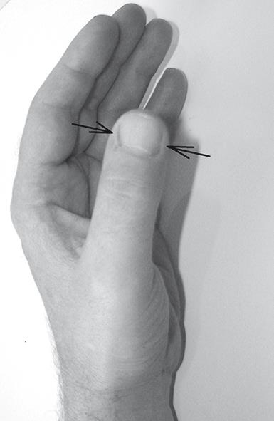 Иллюстрация к книге — Атлас целительных точек. Печень, почки, желудок [Autogen_eBook_id9.jpg]