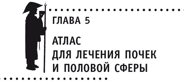 Иллюстрация к книге — Атлас целительных точек. Печень, почки, желудок [Autogen_eBook_id90.jpg]