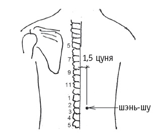 Иллюстрация к книге — Атлас целительных точек. Печень, почки, желудок [Autogen_eBook_id92.jpg]