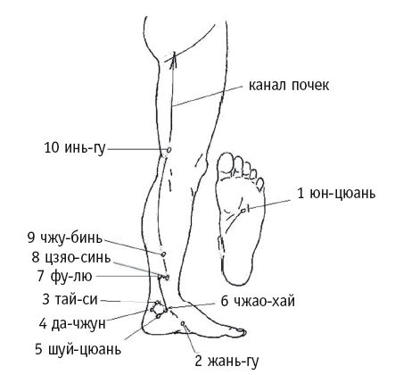 Иллюстрация к книге — Атлас целительных точек. Печень, почки, желудок [Autogen_eBook_id98.jpg]