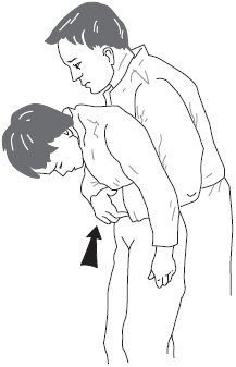 Иллюстрация к книге — Скорая помощь. Руководство для фельдшеров и медсестер [_49.jpg]