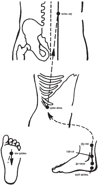 Иллюстрация к книге — Лечебные точки организма. Снимаем боли в сердце и в области живота [_15.jpg]