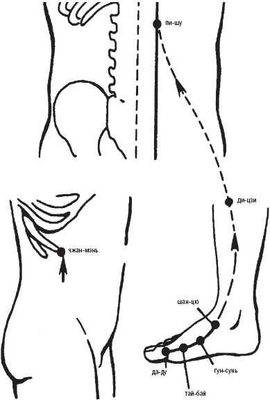 Иллюстрация к книге — Лечебные точки организма. Снимаем боли в сердце и в области живота [_16.jpg]