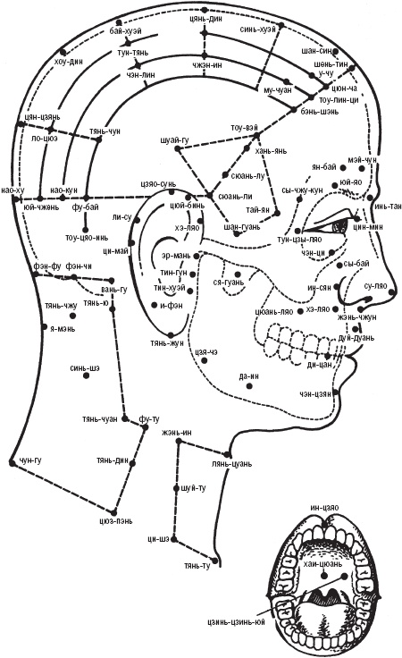 Иллюстрация к книге — Лечебные точки организма. Снимаем боли в сердце и в области живота [_2.jpg]