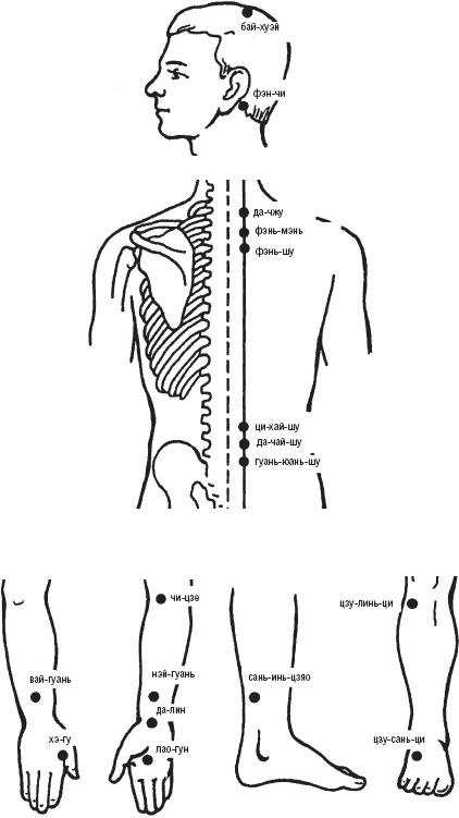 Иллюстрация к книге — Лечебные точки организма. Снимаем боли в сердце и в области живота [_63.jpg]