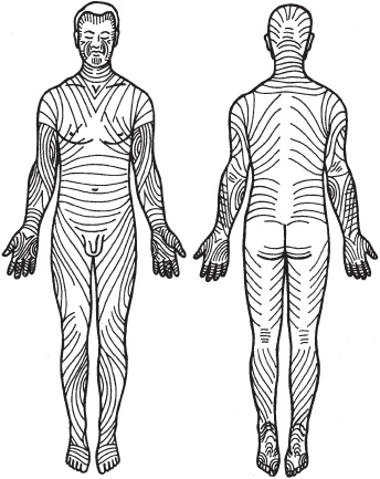 Иллюстрация к книге — Массаж. Уроки великого мастера [_1.jpg]