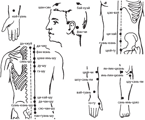 Иллюстрация к книге — Массаж. Уроки великого мастера [_106.jpg]