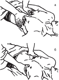 Иллюстрация к книге — Массаж. Уроки великого мастера [_119.jpg]